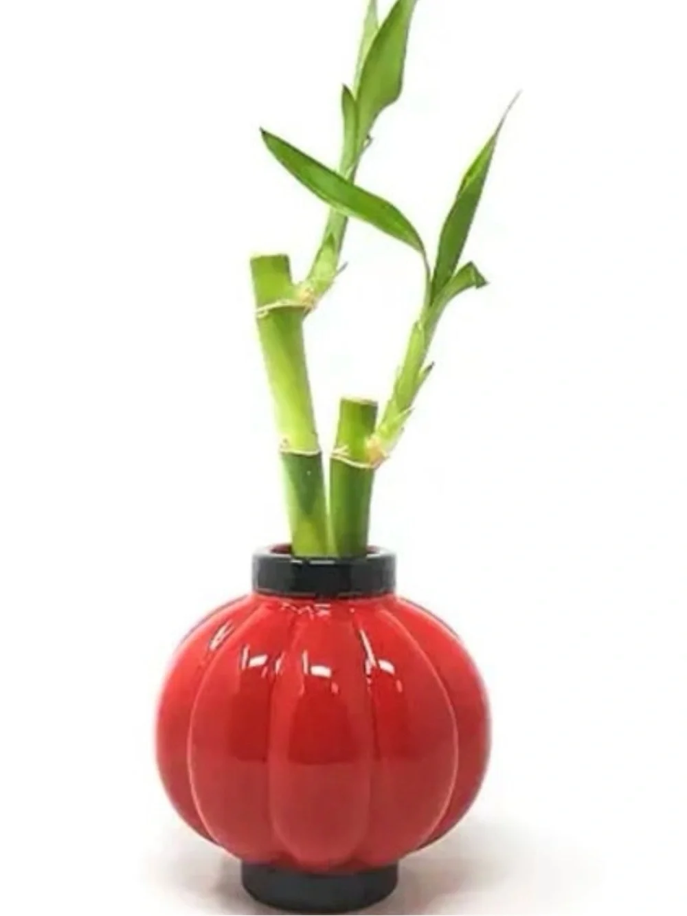 Red lantern bamboo stem holder